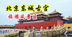 嗯嗯啊啊被操流水呻吟在线观看视频下载中国北京-东城古宫旅游风景区
