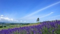 老骚逼AV日本一地6日游  境外旅游 6880元/人