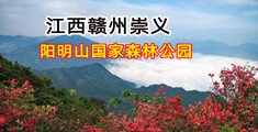 性爱30p